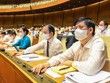 Tiếp tục đầu tư hàng trăm ngàn tỷ xây dựng nông thôn mới, giảm nghèo bền vững