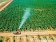 Không có chuyện THACO buông mảng nông nghiệp