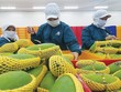 Thành lập tổ công tác đặc biệt, kết nối, cung ứng nông sản phía Bắc