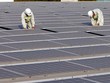 Doanh nghiệp chờ chính sách mới về điện gió, điện mặt trời