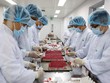 Đảm bảo an ninh vắc-xin nhờ doanh nghiệp nội