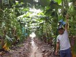 Thagrico tham vọng đưa HAGL Agrico (HNG) hoạt động hiệu quả, ổn định trở lại