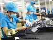 Chính phủ sẽ hỗ trợ gì cho doanh nghiệp?