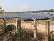 Ninh Thuận yêu cầu kiểm tra phản ánh của Báo Đầu tư về điện mặt trời