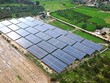 “Cơn lốc” điện mặt trời quét qua, quy hoạch đất đai bị phá nát - Bài 5: Đừng để "hòa cả làng"