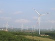 Quảng Trị chuyển đổi hơn 20 ha đất rừng thực hiện Dự án điện gió Tân Hợp