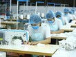 Thương mại Việt - Mỹ và những con số ấn tượng
