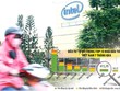 Bệ đỡ cho hợp tác kinh tế, đầu tư Việt - Mỹ