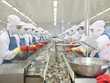 Thủy sản Minh Phú (MPC) “ngập” đơn hàng, song khó hoàn thành kế hoạch lợi nhuận năm