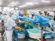 Dịch bệnh được kiểm soát, xuất khẩu cả năm 2021 có thể tăng 10%