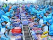 Doanh nghiệp phá sản nợ bảo hiểm xã hội, người lao động vẫn được hưởng chế độ thai sản, hưu trí