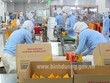 Bình Dương cho phép người đã tiêm tiêm vắc-xin trên 14 ngày được phép lưu thông