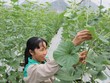 Tín dụng tăng, vốn chảy vào đâu?