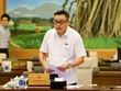 Nhiều cuộc kiểm toán phải dừng do Covid-19
