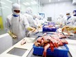 Doanh nghiệp nóng lòng bàn kế hoạch phục hồi xuất, kinh doanh
