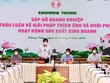 Đồng Tháp đồng hành tháo gỡ khó khăn cho doanh nghiệp thích ứng với Covid-19