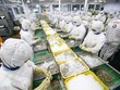 Đừng làm khó doanh nghiệp vì các quy định bất hợp lý