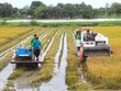 Tập đoàn Lộc Trời (LTG) chuyển nhượng tất cả vốn góp tại 5 công ty con
