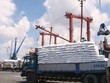 Giá cao vút, Việt Nam chi hơn 1 tỷ USD nhập phân bón