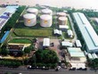 NSH Petro (PSH) đầu tư nhà máy pha chế xăng dầu sinh học 100.000 tấn/năm