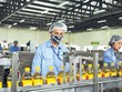 Trước thềm thoái vốn, Vocarimex (VOC) báo lỗ sau 5 năm lên sàn