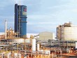 Đạm Phú Mỹ (DPM) tạm ứng cổ tức năm 2021, tỷ lệ 10%