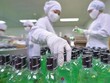 Quý III/2021, Traphaco (TRA) lãi ròng gần 22 tỷ đồng mỗi tháng, lợi nhuận chưa phân phối 221,2 tỷ đồng