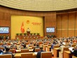 Chủ tịch Quốc hội đề nghị đại biểu không tranh luận với nhau trong phiên chất vấn