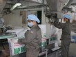 Dự án DAP-1 Hải Phòng cơ bản khắc phục tồn tại, kinh doanh có lãi