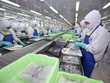 PAN Group muốn phát hành tối đa 235,83 triệu cổ phần, lớn hơn vốn điều lệ hiện tại