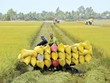 Agribank: Chín giải pháp thúc đẩy tài chính toàn diện