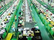Doanh nghiệp thành lập mới tăng vọt trong tháng 11