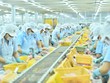 Doanh nghiệp xuất khẩu cá tra lớn nhất Việt Nam lấn sân lĩnh vực địa ốc