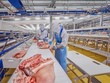 Masan MEATLife (MML) sắp chi hơn 1.600 tỷ đồng để trả cổ tức