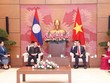 Việt Nam luôn ủng hộ mạnh mẽ công cuộc đổi mới của CHDCND Lào