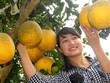 Phát triển 10.000 sản phẩm OCOP quốc gia đến năm 2025