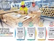 Chương trình Phục hồi và Phát triển kinh tế: Không gian cho cấu trúc kinh tế mới