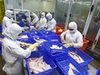Liều vắc-xin tăng cường cho doanh nghiệp