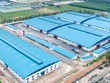 Nước cờ tăng trưởng của ông lớn ngành gỗ