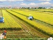 Để nông nghiệp tiếp tục là điểm tựa vững chắc