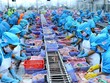 Bước tiến dài sau 15 năm gia nhập WTO
