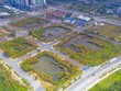 Sốt đất ảo, thông thầu... khiến cử tri lo lắng