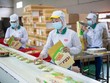 Tập đoàn PAN (PAN) phát hành cổ phiếu thưởng, tỷ lệ 5:2 và chào bán cổ phiếu, tỷ lệ 2:1