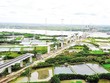 “Lối thoát” tại Dự án cao tốc Bến Lức - Long Thành