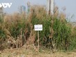 TP.HCM đã nhận văn bản của Tân Hoàng Minh xin bỏ cọc lô đất Thủ Thiêm