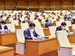 Tăng lực phục hồi kinh tế