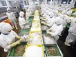 Đặt nền tảng để kinh tế trở lại lộ trình tăng trưởng