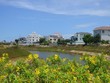 Đà Nẵng xin bổ sung quỹ đất nhà ở xã hội tại Dự án Không gian sáng tạo