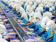 Thủy sản Ngô Quyền "hồi sinh" sau 2 năm thua lỗ