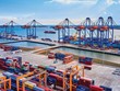Con đường phía trước Gemadept - The Way Forward